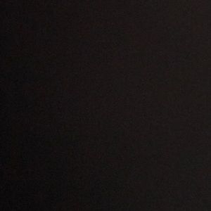 Meet your Posher, Bella